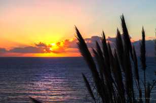 Sunset at Lucia-1961.jpg Sunset at Lucia-1961.jpg
